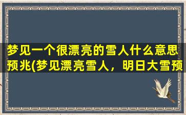 梦见一个很漂亮的雪人什么意思 预兆(梦见漂亮雪人，明日大雪预兆？！)